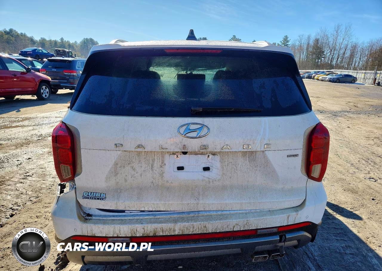 2023 Hyundai Palisade Sel VIN:KM8R2DGE4PU643489 - 6