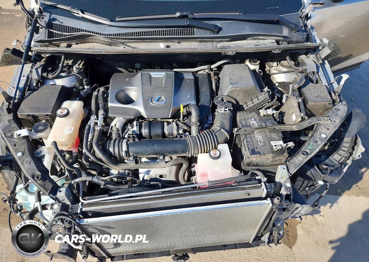 2021 Lexus Nx 300 Base VIN:JTJDARBZ2M2195928 - 12