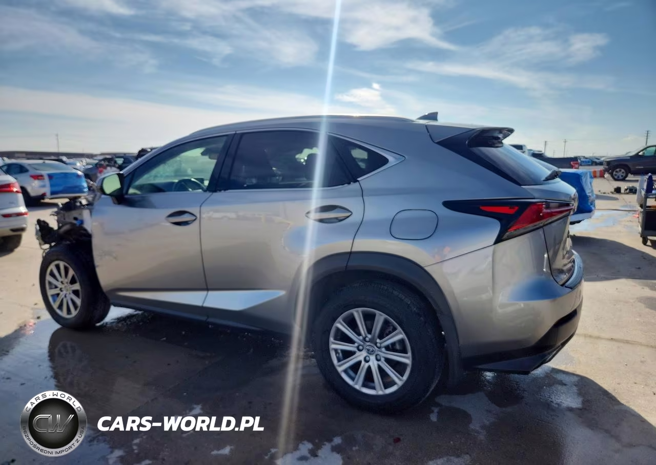 2021 Lexus Nx 300 Base VIN:JTJDARBZ2M2195928 - 2