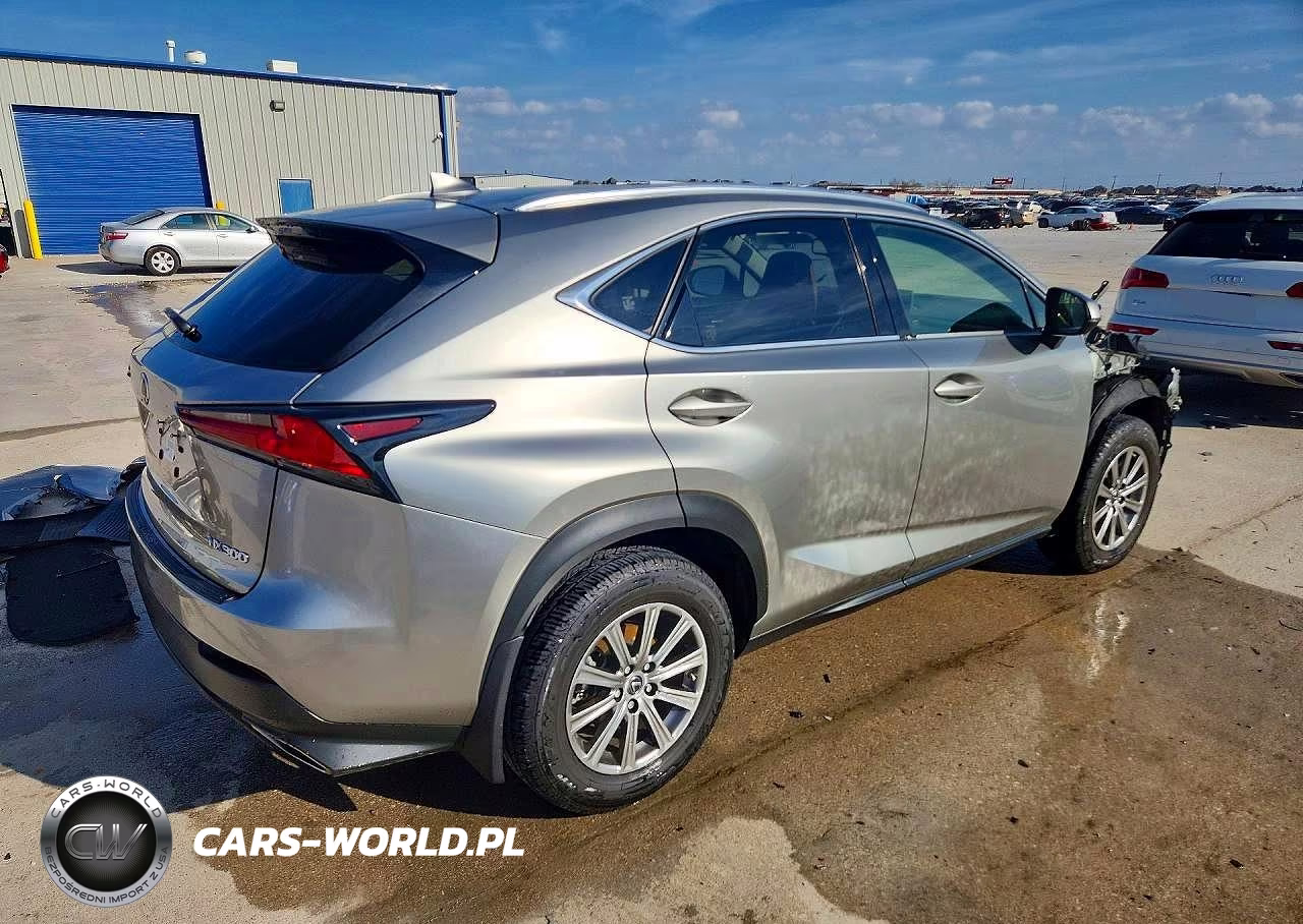 2021 Lexus Nx 300 Base VIN:JTJDARBZ2M2195928 - 3
