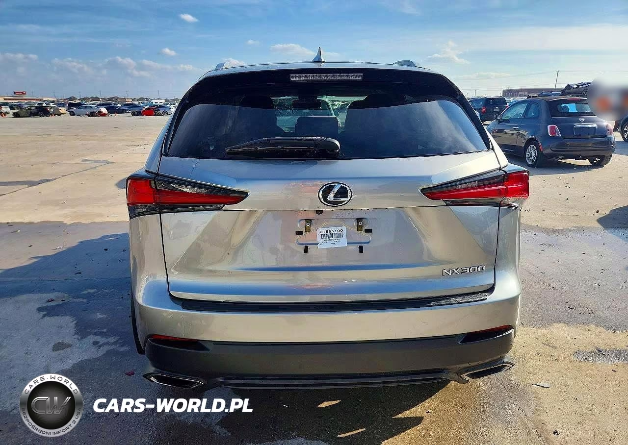 2021 Lexus Nx 300 Base VIN:JTJDARBZ2M2195928 - 6