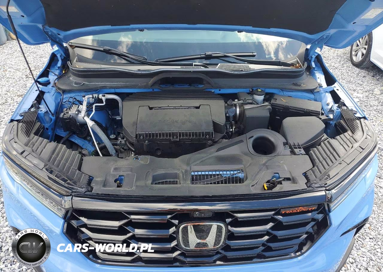 2024 Honda Pilot Trailsport VIN:5FNYG1H6XRB042137 - 12