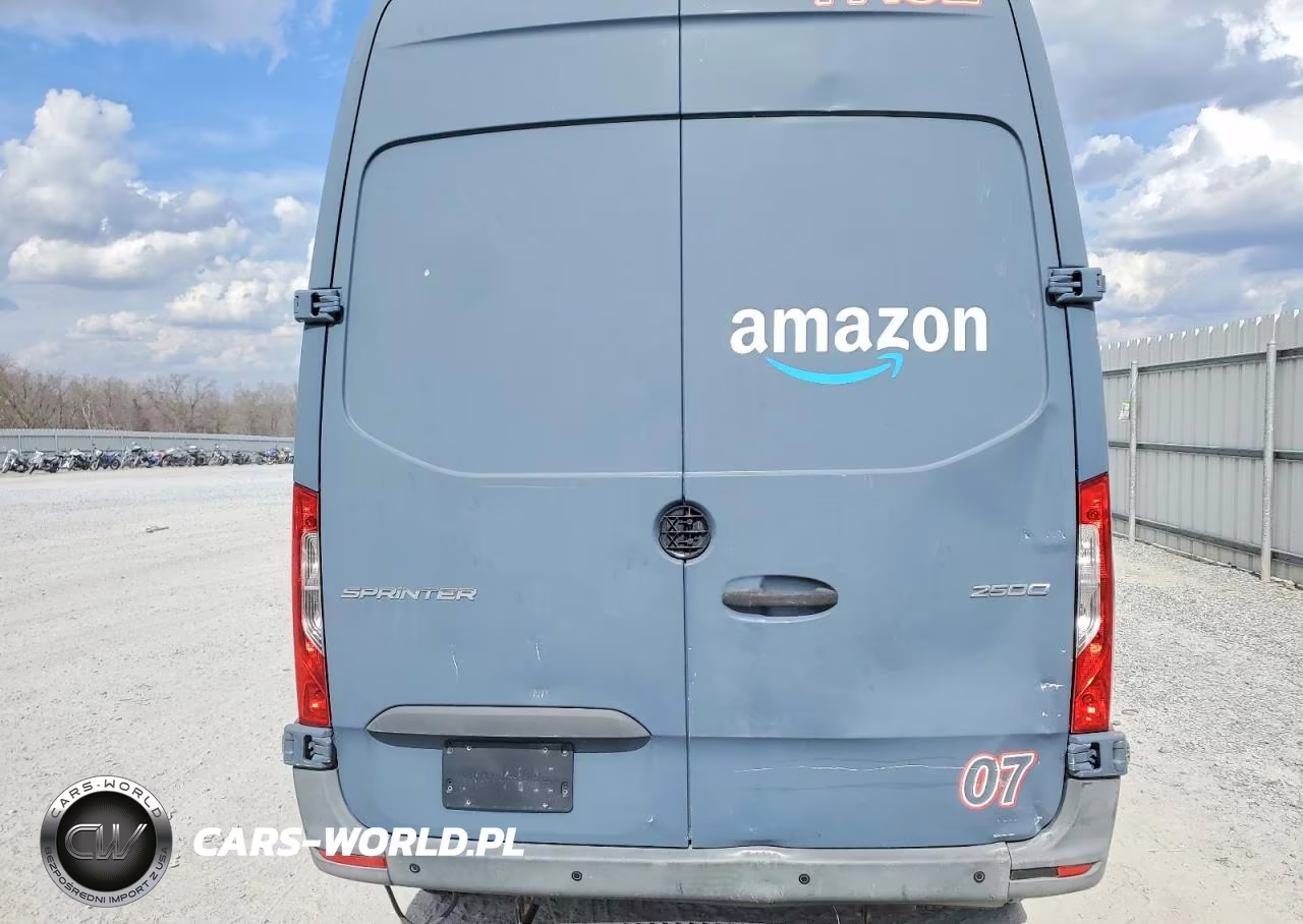 2019 Mercedes Benz Sprinter 2500-3500 Delivery Van VIN:WD4PF0CD0KP091508 - 10