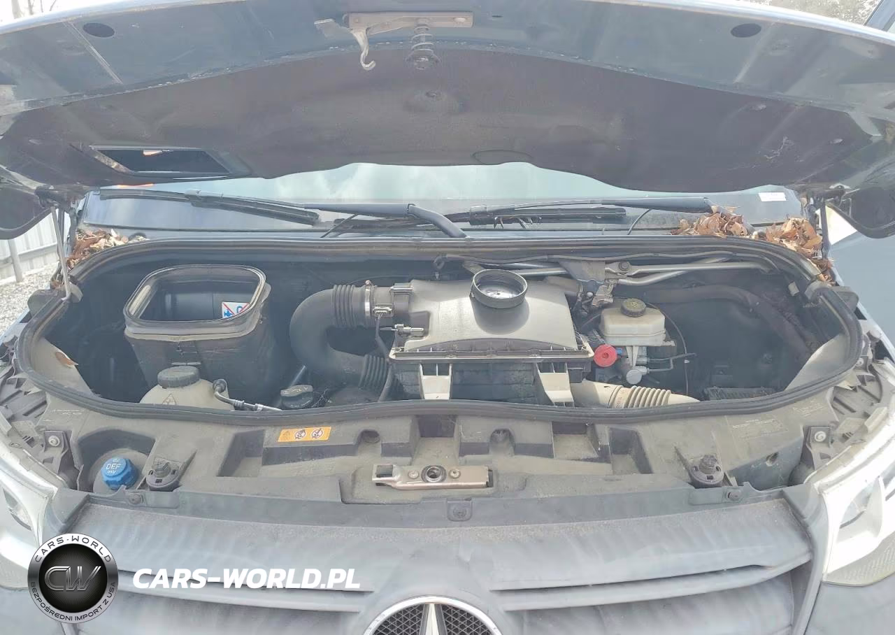 2019 Mercedes Benz Sprinter 2500-3500 Delivery Van VIN:WD4PF0CD0KP091508 - 12
