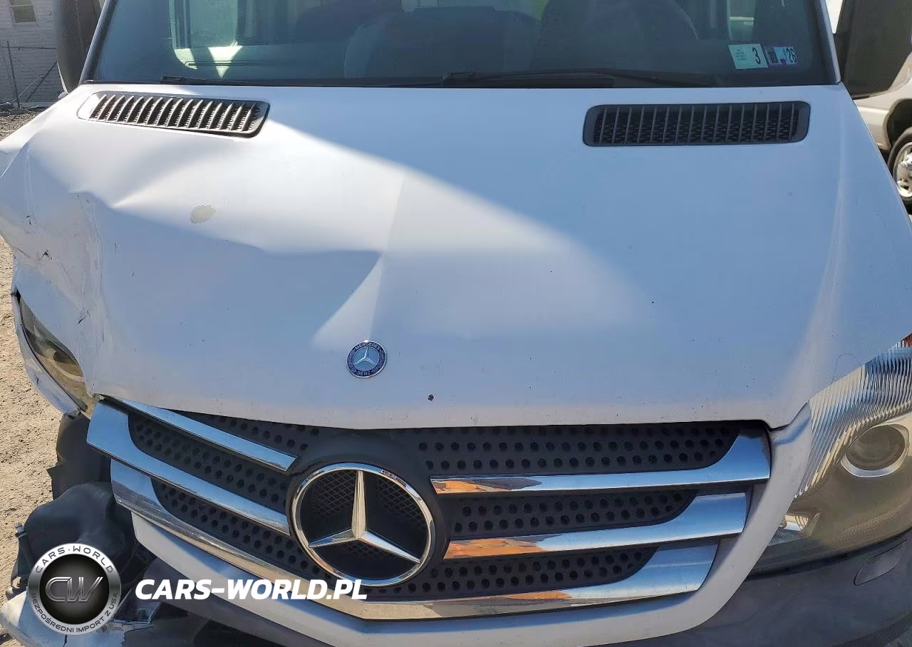 2014 Mercedes Benz Sprinter 2500 Utility - Service Van VIN:WD3PE7DC9E5938841 - 12