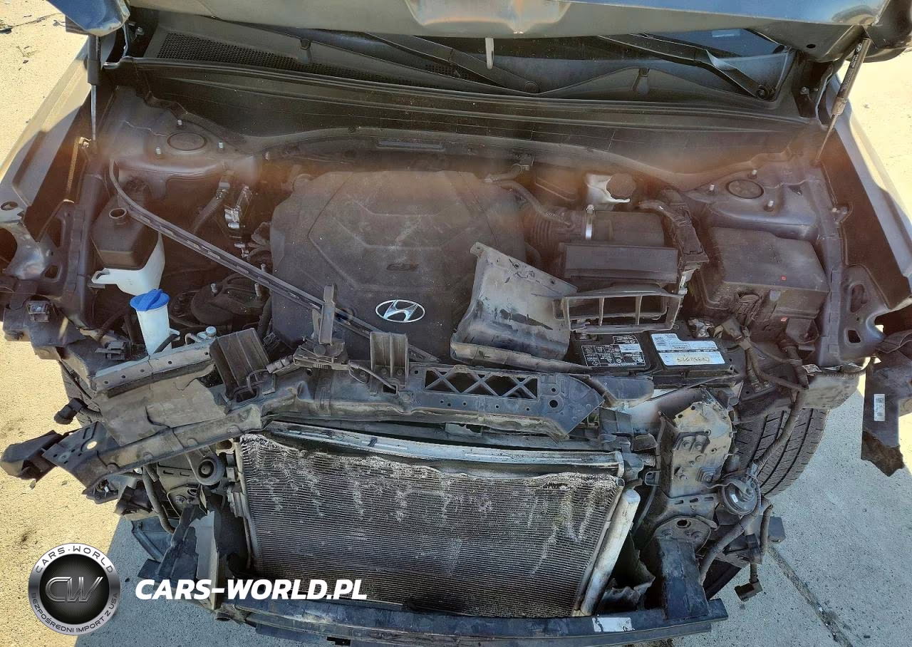 2020 Hyundai Palisade Se VIN:KM8R14HE0LU036503 - 12