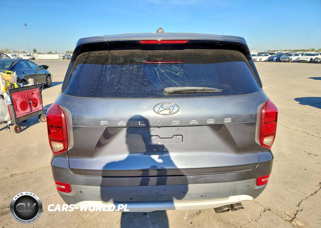 2020 Hyundai Palisade Se VIN:KM8R14HE0LU036503 - 6