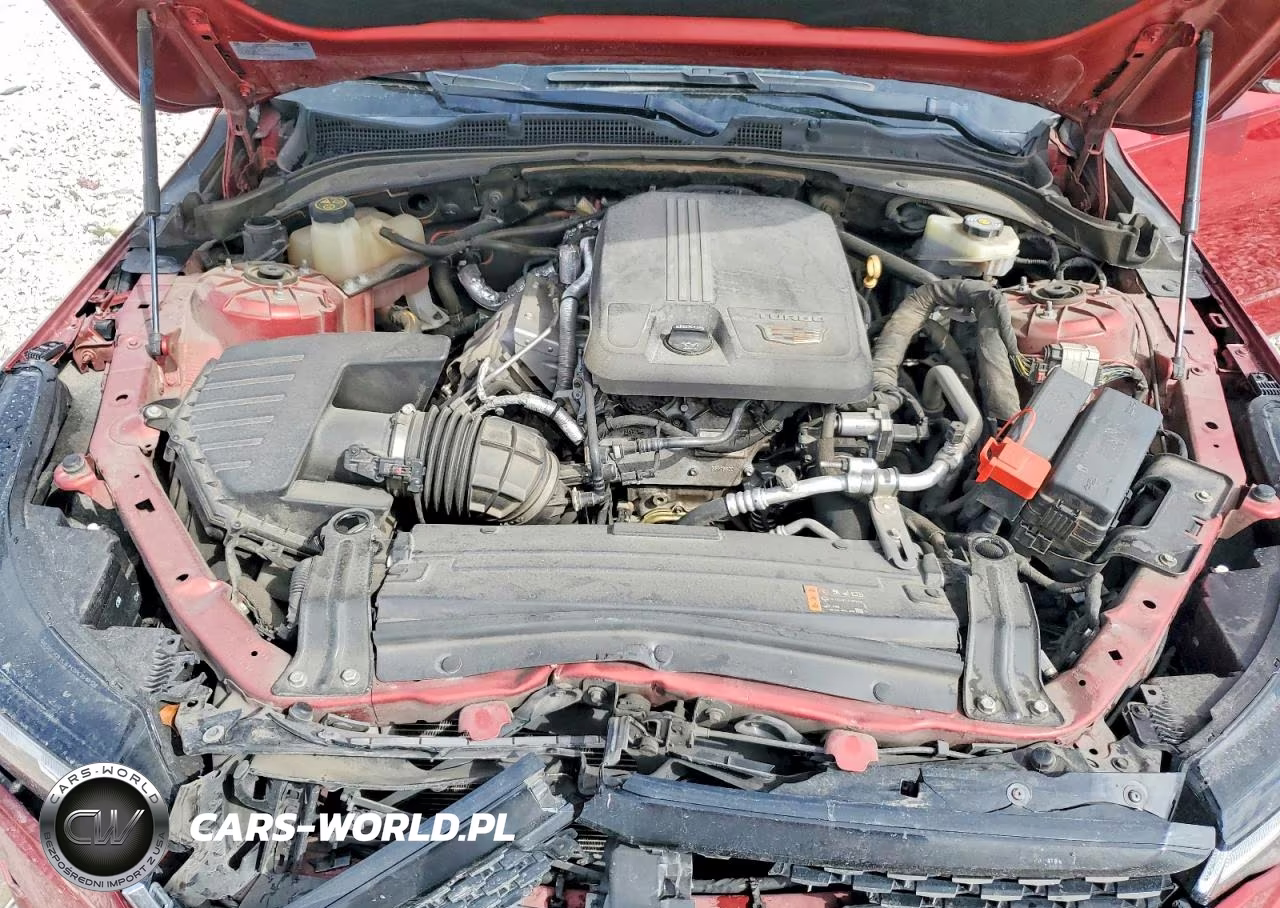 2021 Cadillac Ct4 Premium Luxury VIN:1G6DB5RK4M0133155 - 11