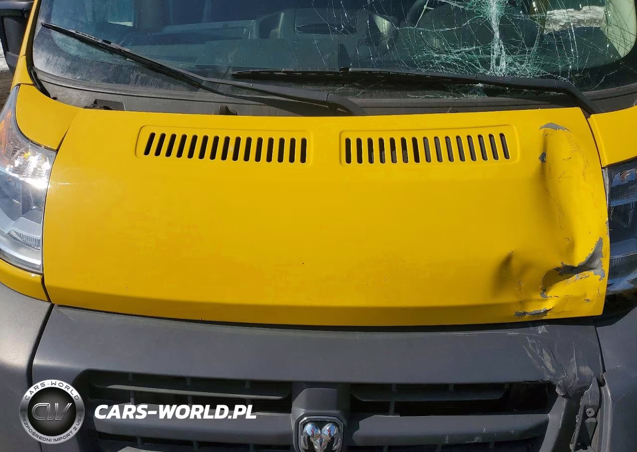 2018 Ram Promaster 2500 Delivery Van VIN:3C6TRVDGXJE121013 - 12