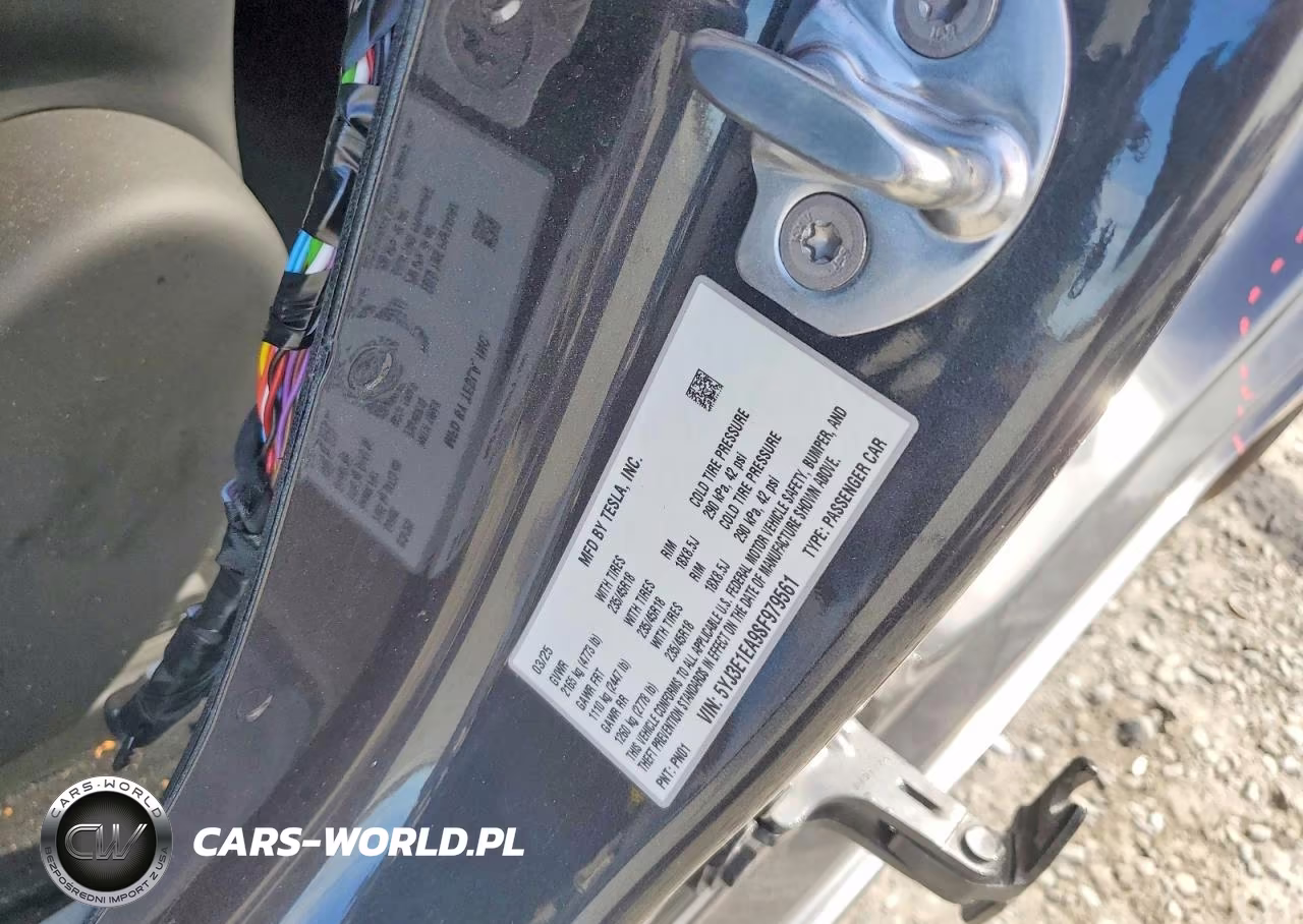 2025 Tesla Model 3 VIN:5YJ3E1EA9SF979561 - 12