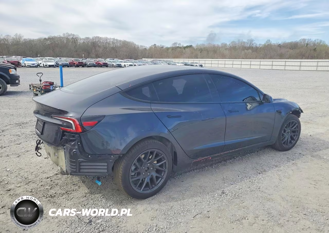 2025 Tesla Model 3 VIN:5YJ3E1EA9SF979561 - 3