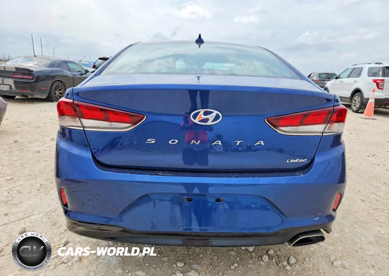 2019 Hyundai Sonata Limited VIN:5NPE34AF1KH782824 - 6