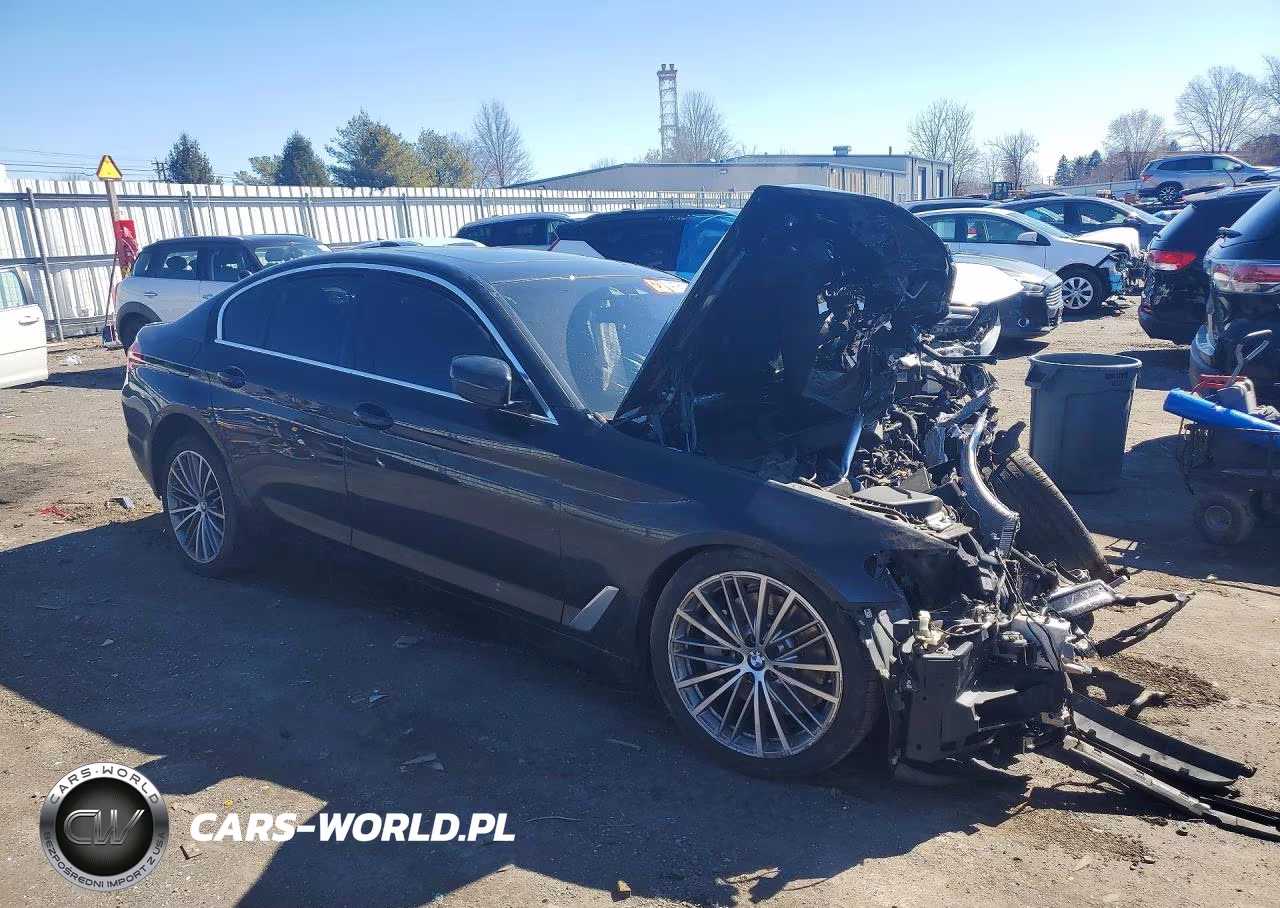 2020 BMW 530 Xi VIN:WBAJR7C01LWW74316 - 4