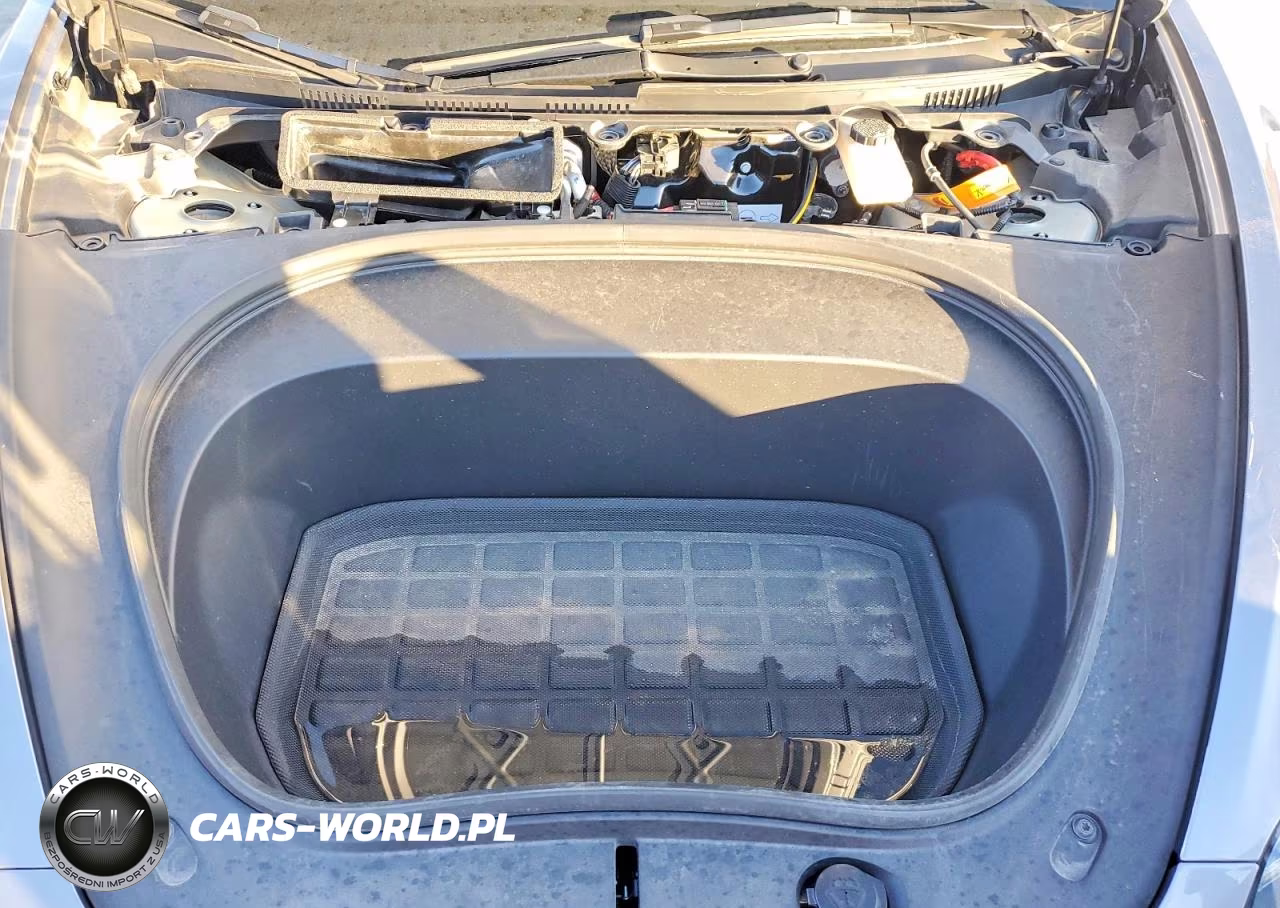 2025 Tesla Model 3 VIN:5YJ3E1EAXSF949601 - 11