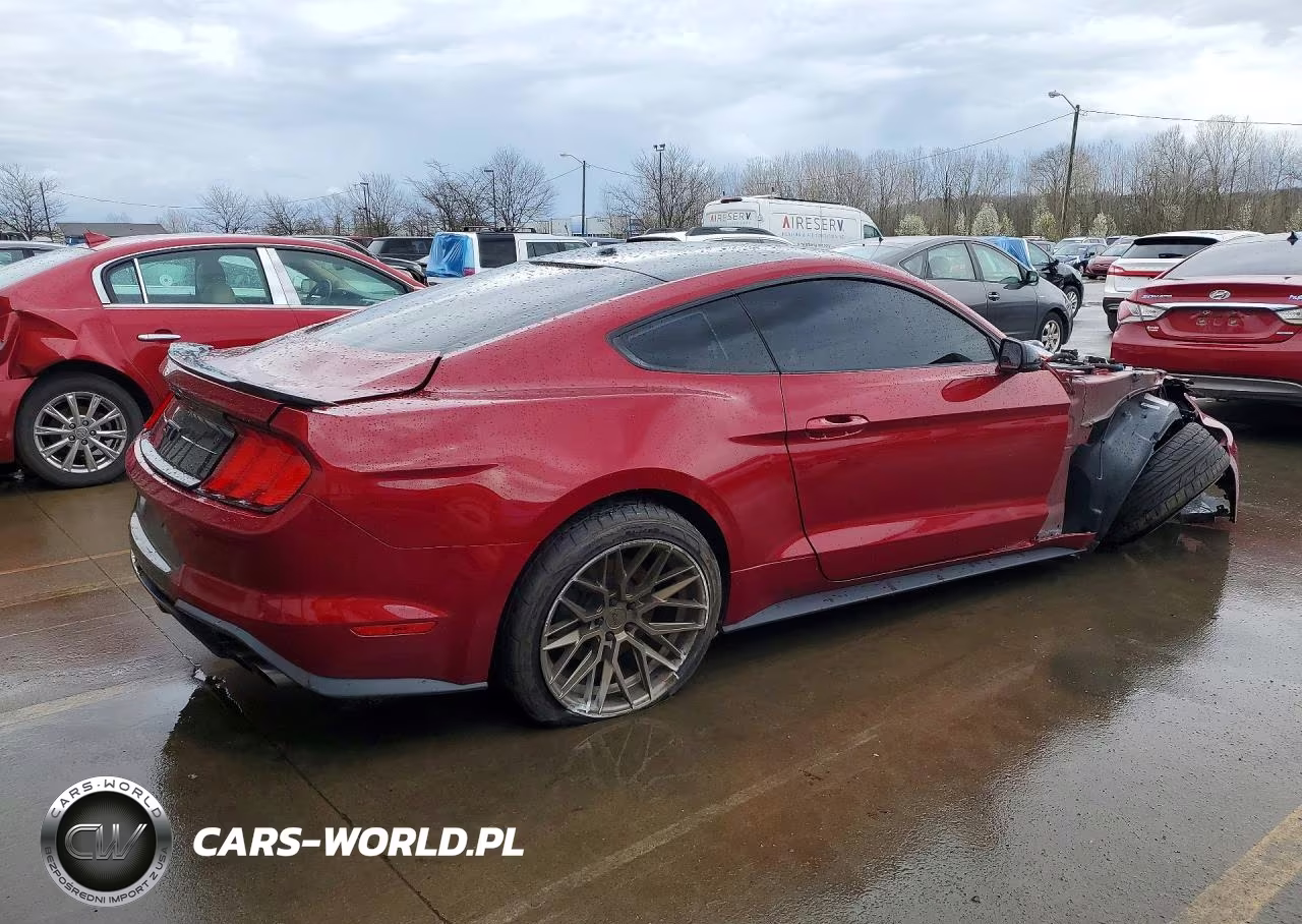2019 Ford Mustang Gt VIN:1FA6P8CF7K5152972 - 3