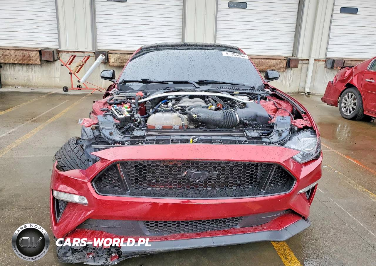 2019 Ford Mustang Gt VIN:1FA6P8CF7K5152972 - 5