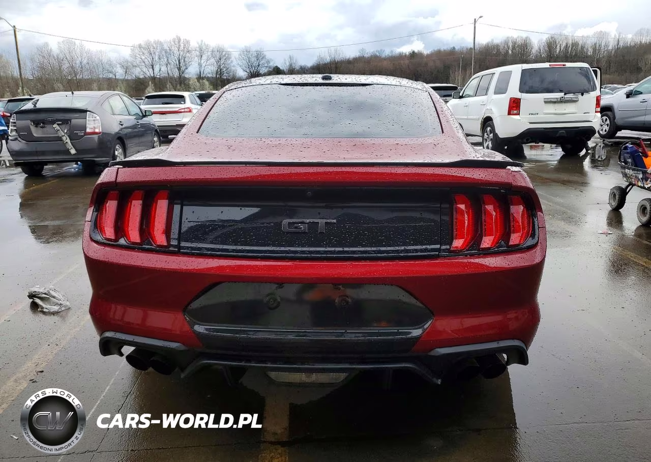 2019 Ford Mustang Gt VIN:1FA6P8CF7K5152972 - 6