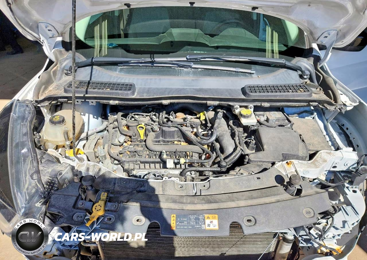 2019 Ford Escape Se VIN:1FMCU0GDXKUA93062 - 12