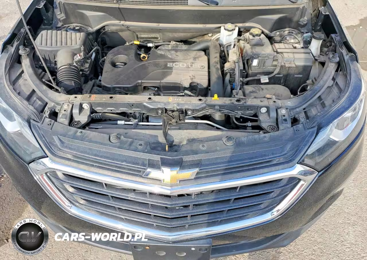 2019 Chevrolet Equinox Lt VIN:3GNAXKEV1KL222611 - 11
