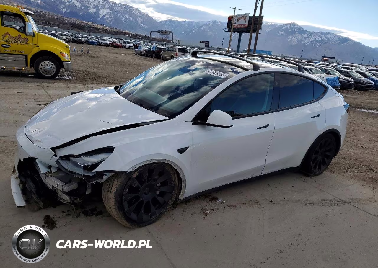 Główne zdjęcie 2023 Tesla Model Y