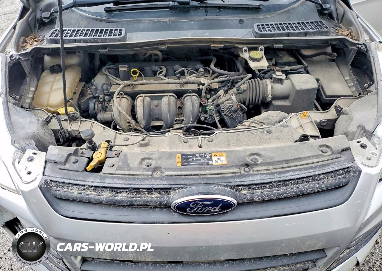 2016 Ford Escape S VIN:1FMCU0F70GUB34365 - 12