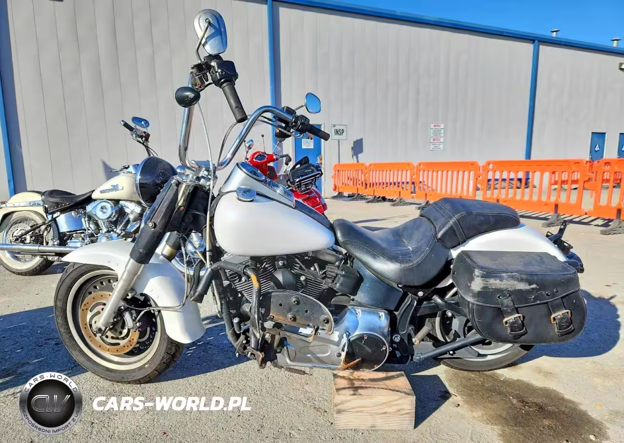 2011 Harley-Davidson Flstfb VIN:1HD1JN511BB040190 - 3