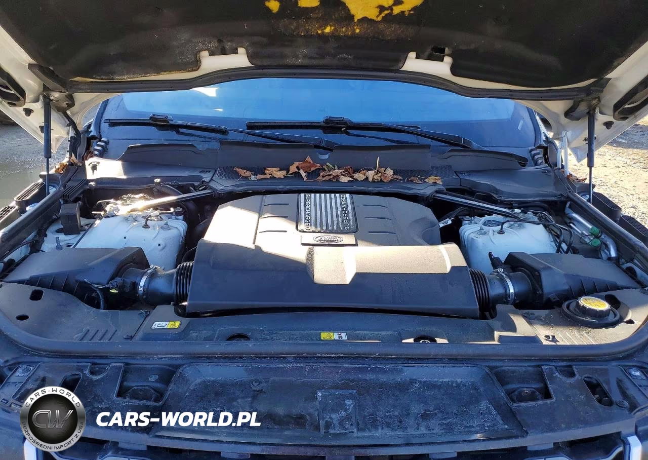 2019 Land Rover Range Rover Sport Hse VIN:SALWR2RV0KA846998 - 12