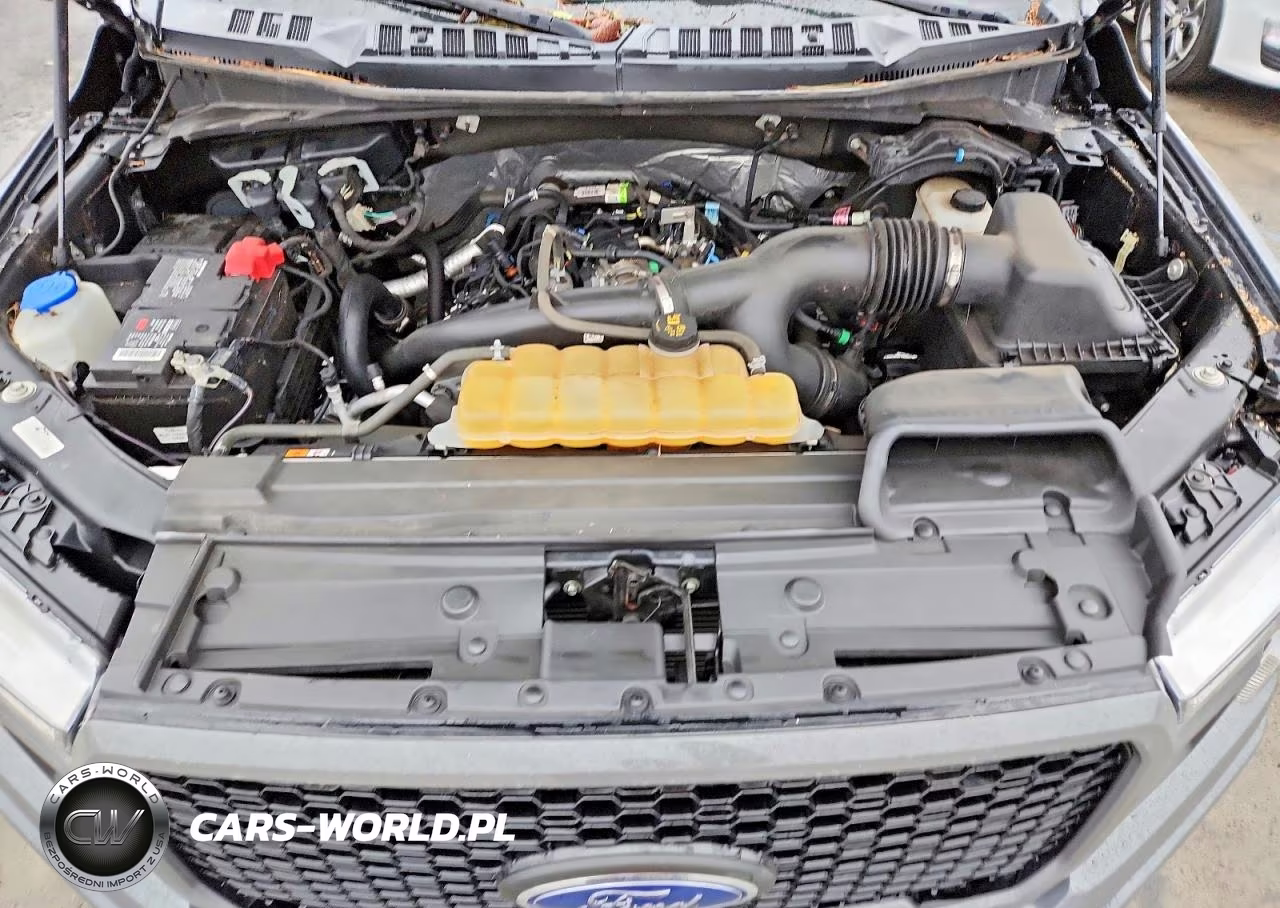 2020 Ford F150 Supercrew VIN:1FTEW1EP4LFA90092 - 11