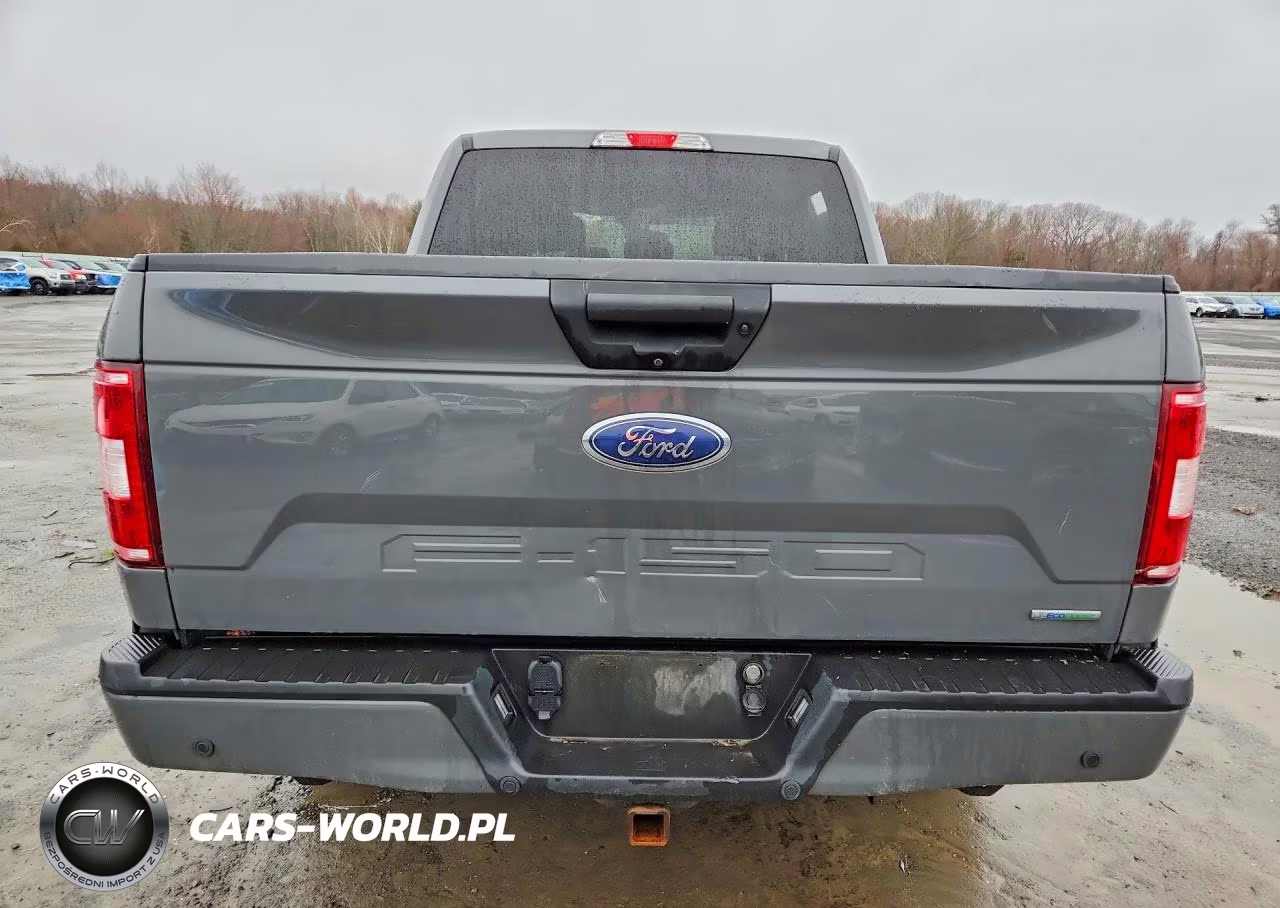 2020 Ford F150 Supercrew VIN:1FTEW1EP4LFA90092 - 6