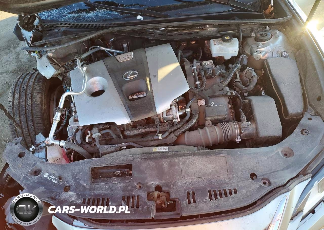 2021 Lexus Es 300H Base VIN:58ADA1C13MU012218 - 11