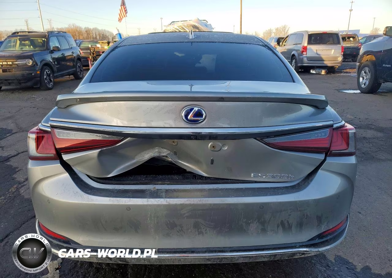 2021 Lexus Es 300H Base VIN:58ADA1C13MU012218 - 6