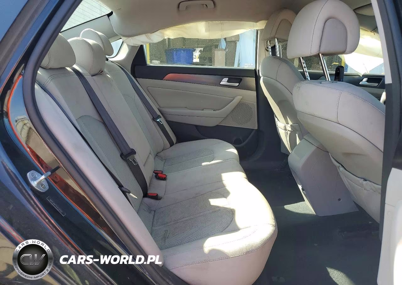 2015 Hyundai Sonata Sport VIN:5NPE34AF1FH135152 - 10