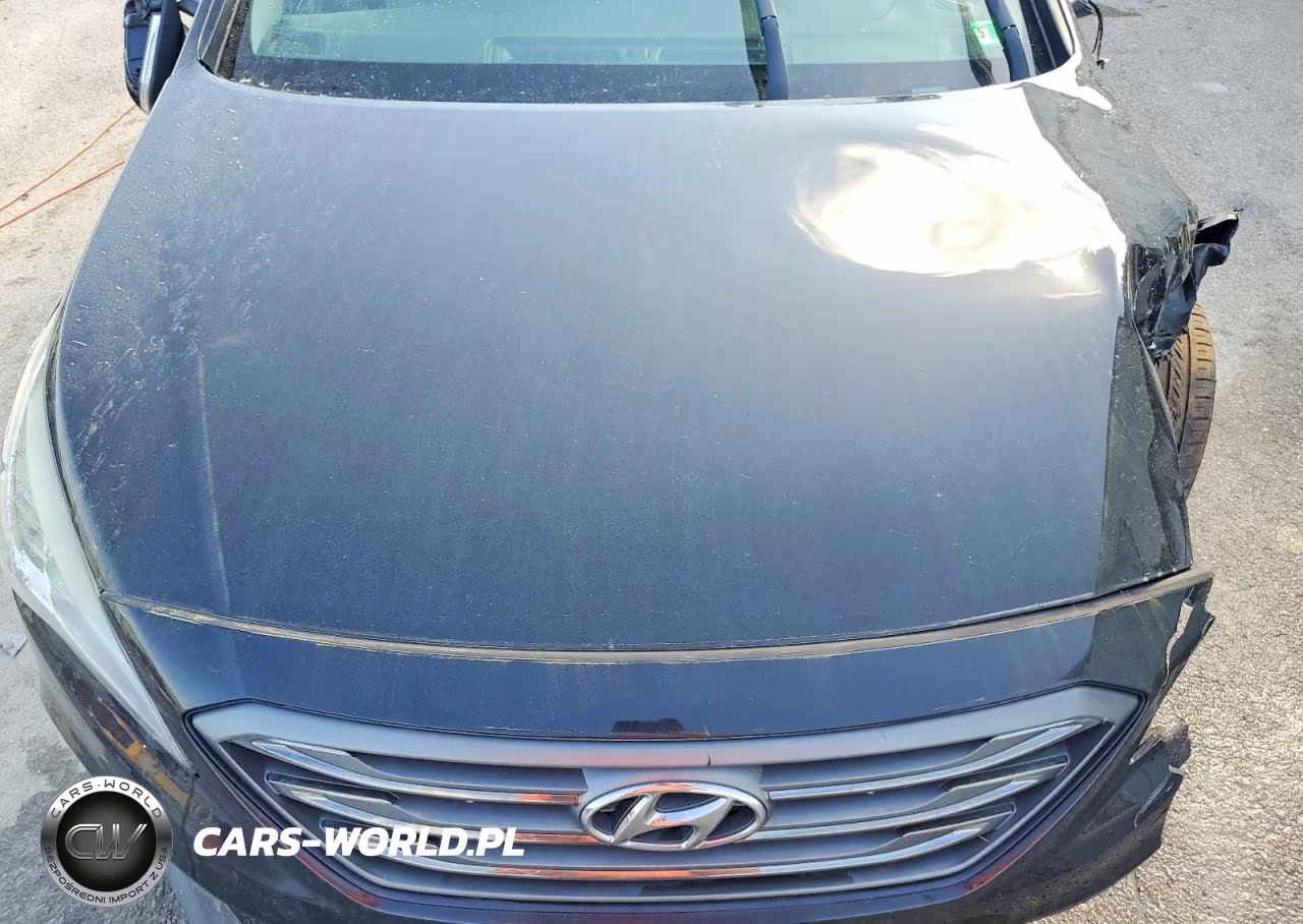 2015 Hyundai Sonata Sport VIN:5NPE34AF1FH135152 - 11