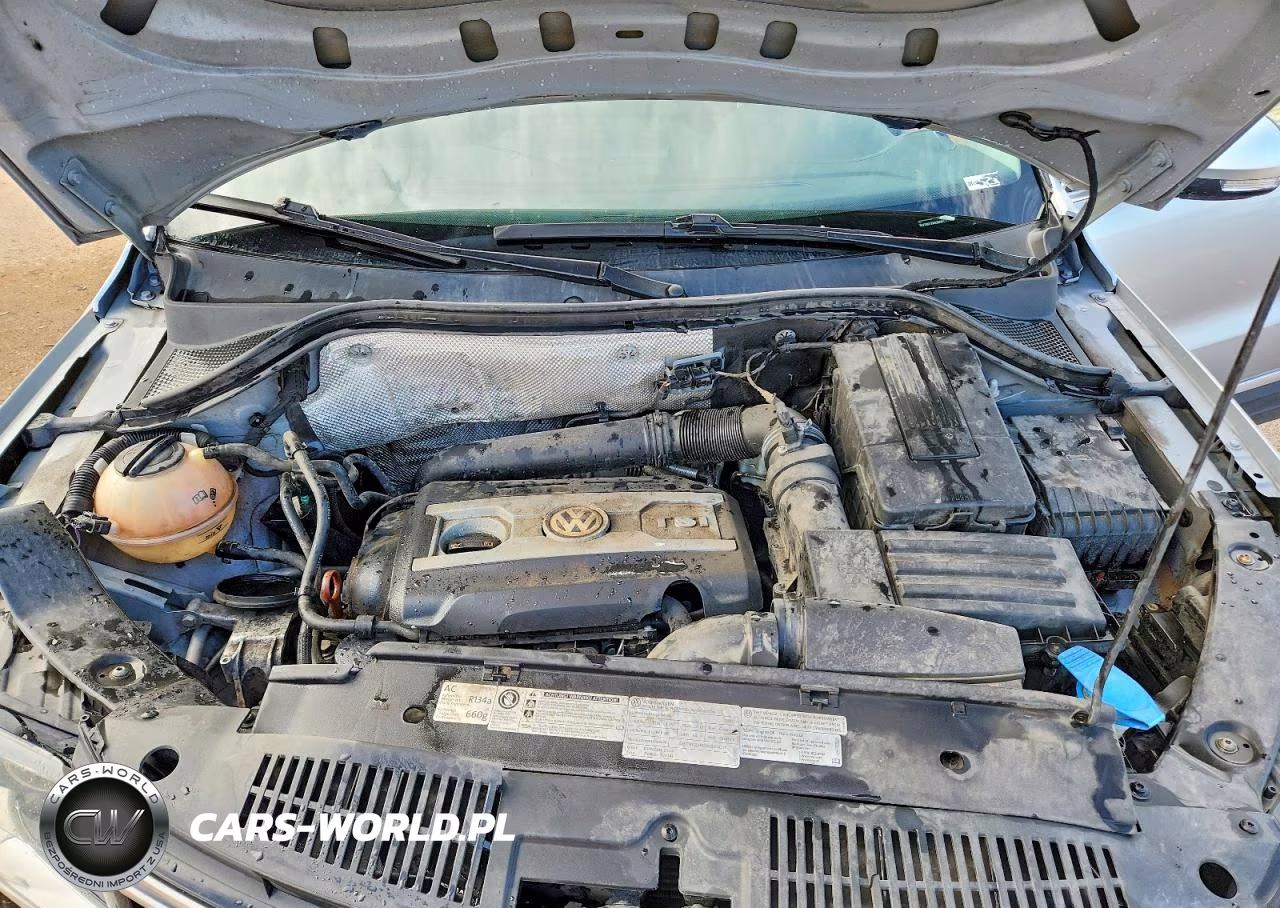 2013 Volkswagen Tiguan S VIN:WVGBV7AX3DW537832 - 11