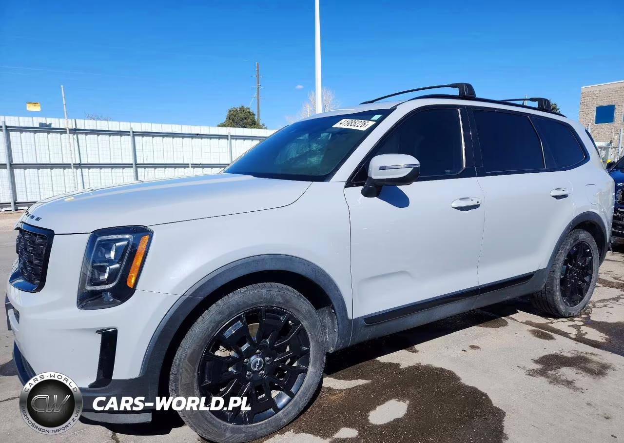 2022 Kia Telluride Ex VIN:5XYP3DHC4NG200005 - 1