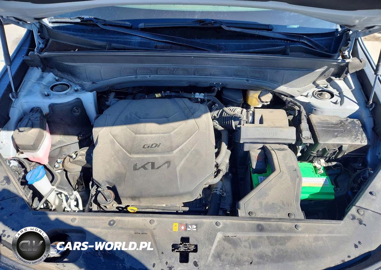 2022 Kia Telluride Ex VIN:5XYP3DHC4NG200005 - 12