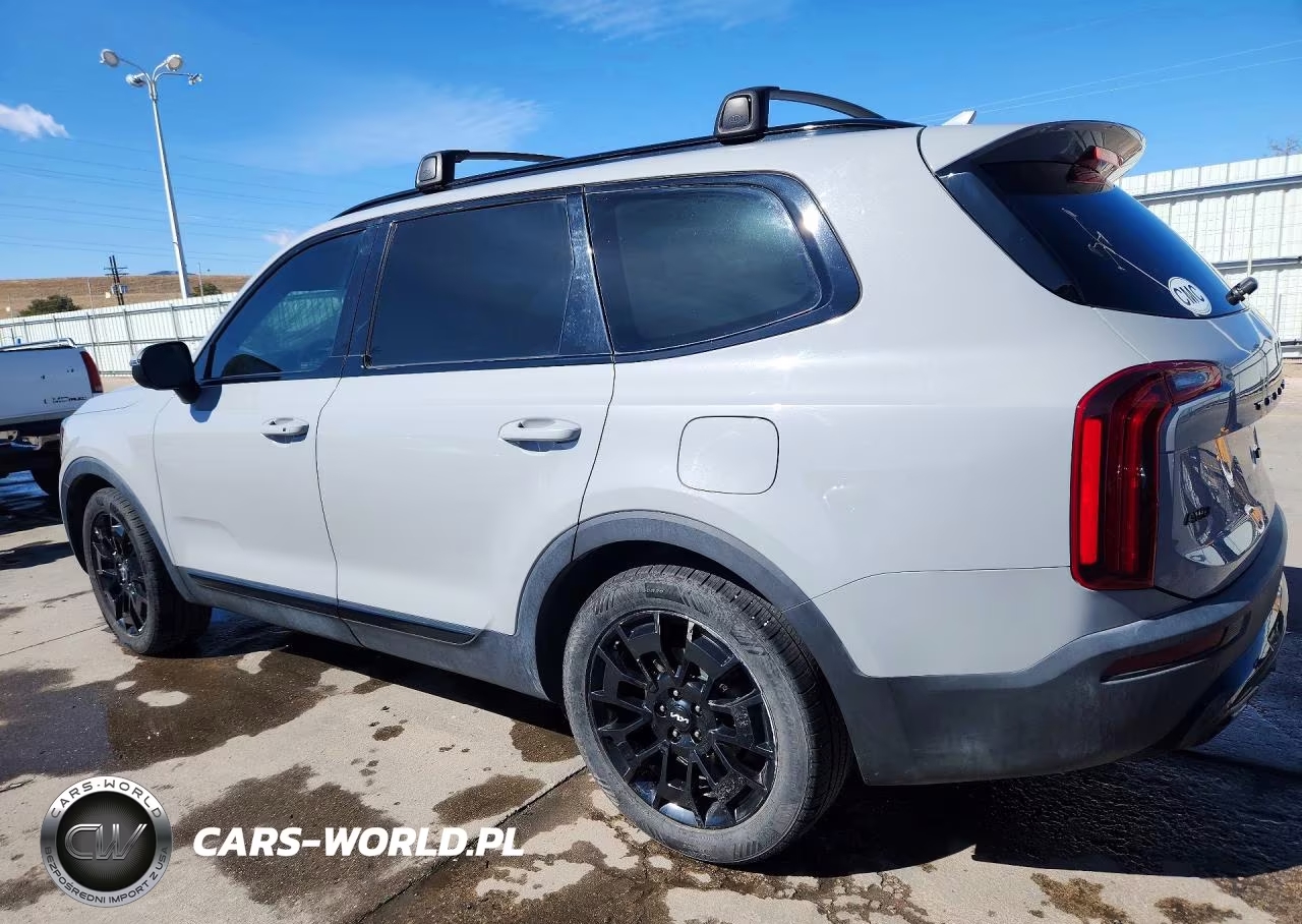 2022 Kia Telluride Ex VIN:5XYP3DHC4NG200005 - 2
