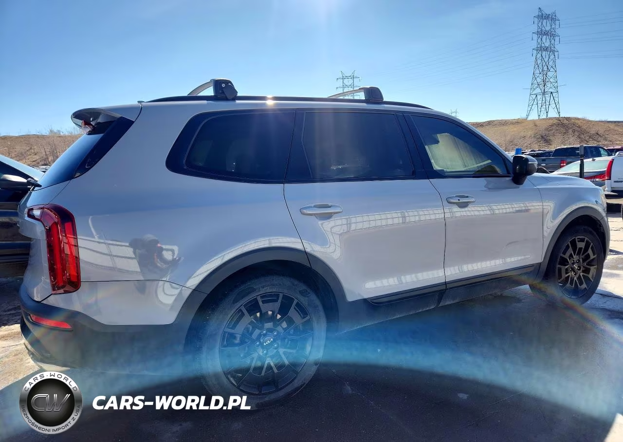 2022 Kia Telluride Ex VIN:5XYP3DHC4NG200005 - 3