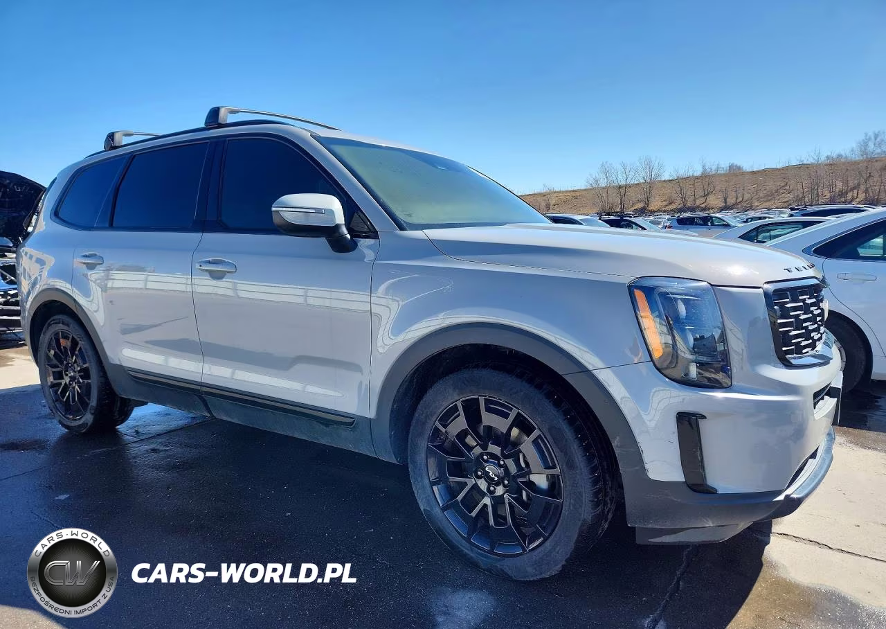 2022 Kia Telluride Ex VIN:5XYP3DHC4NG200005 - 4