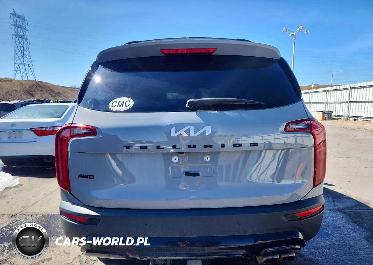 2022 Kia Telluride Ex VIN:5XYP3DHC4NG200005 - 6