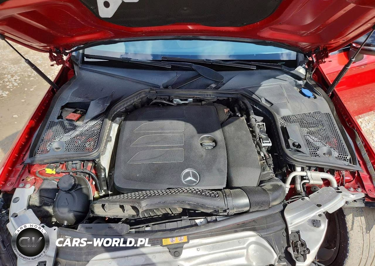2019 Mercedes-Benz C 300 VIN:WDDWJ8DB7KF794289 - 11