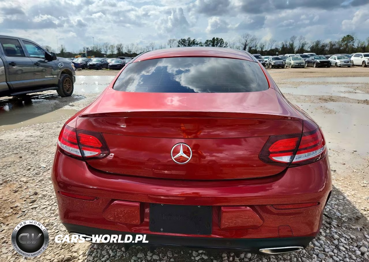 2019 Mercedes-Benz C 300 VIN:WDDWJ8DB7KF794289 - 6