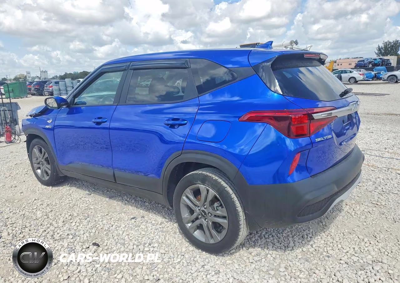 2022 Kia Seltos Lx VIN:KNDEPCAAXN7345691 - 2