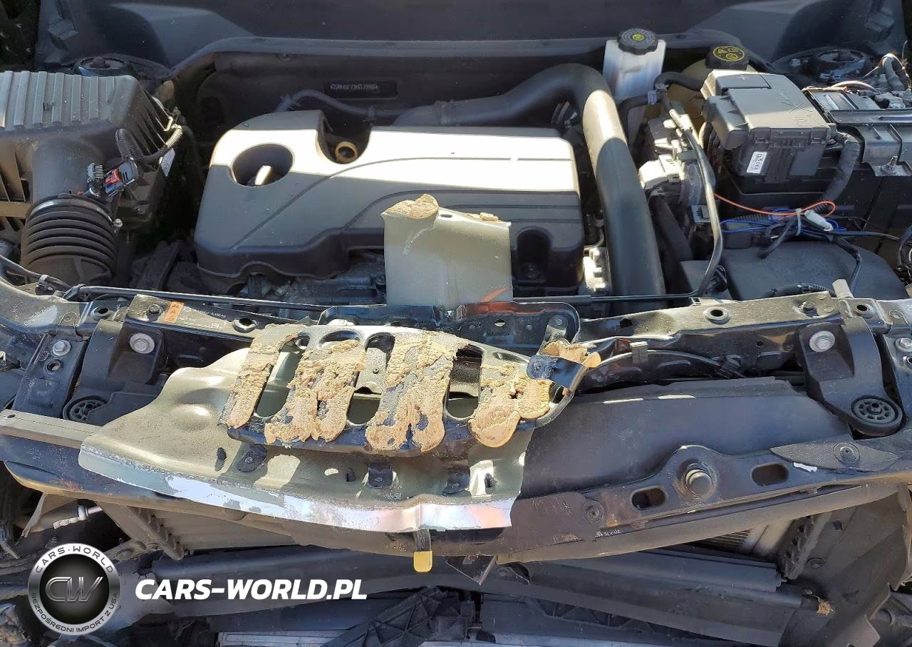 2019 Chevrolet Equinox Lt VIN:2GNAXUEV2K6170566 - 11