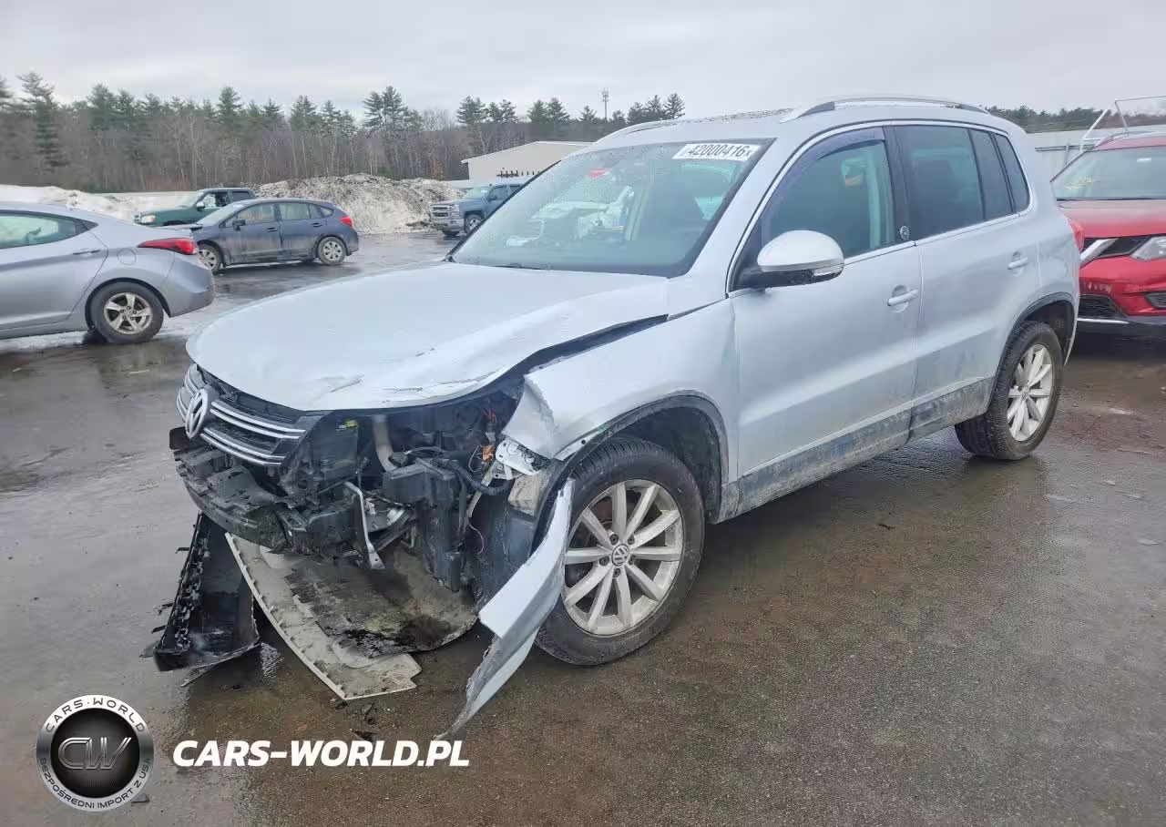 2017 Volkswagen Tiguan Wolfsburg