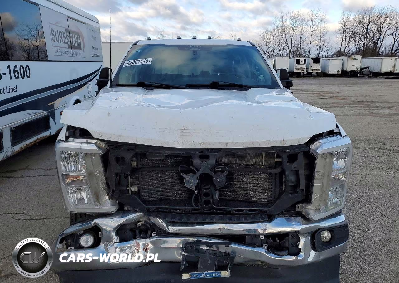 2024 Ford F350 Super Duty Truck Cab And Chassis VIN:1FT8W3DT3REE10699 - 5
