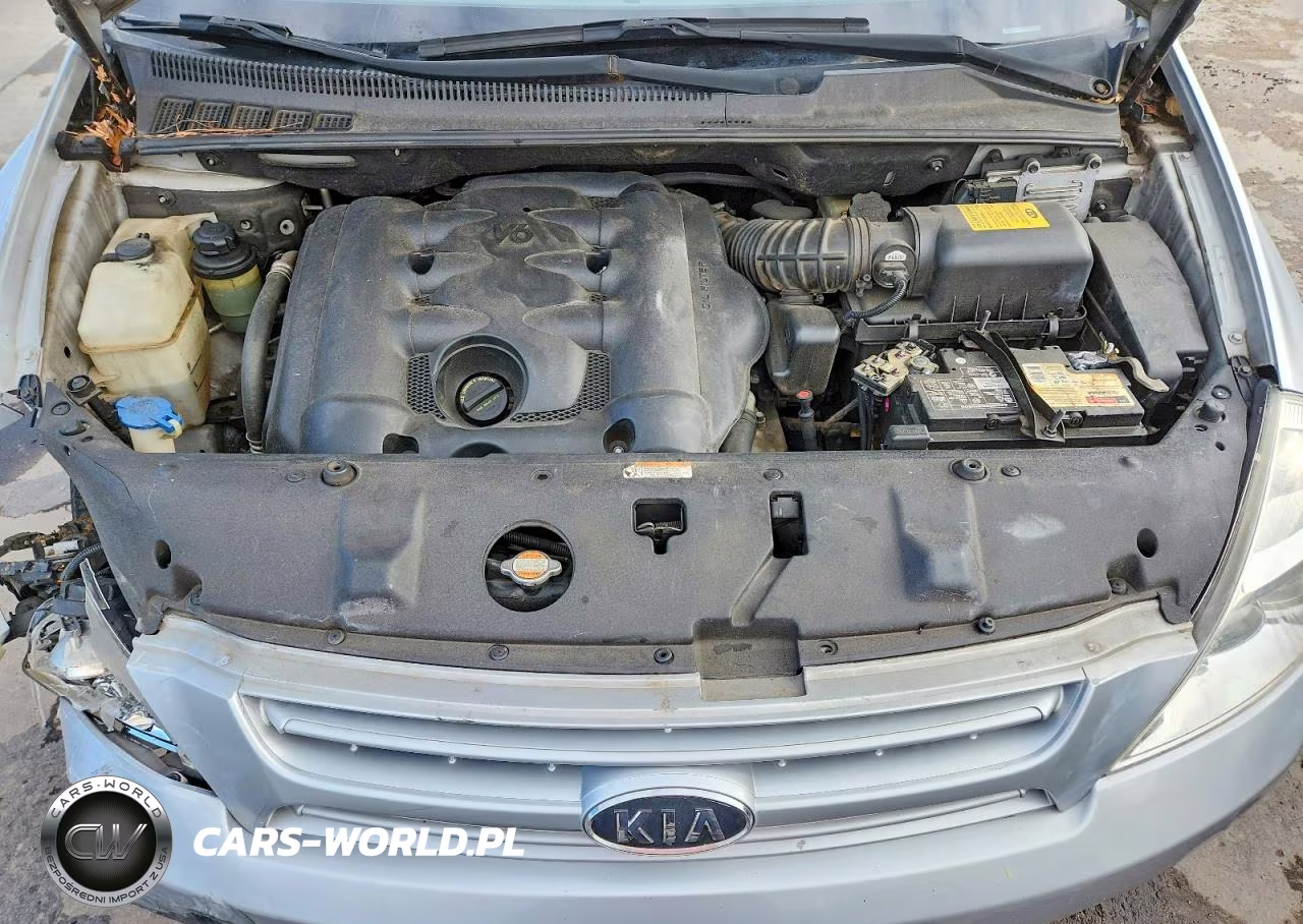 2008 Kia Sedona Lx VIN:KNDMB233X86231042 - 12