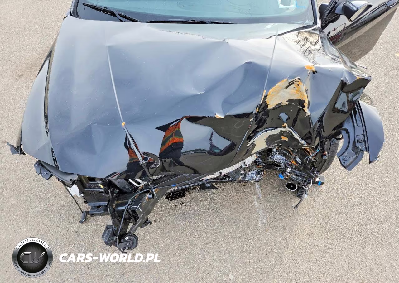 2024 Hyundai Elantra N Base VIN:KMHLW4DK8RU021081 - 11