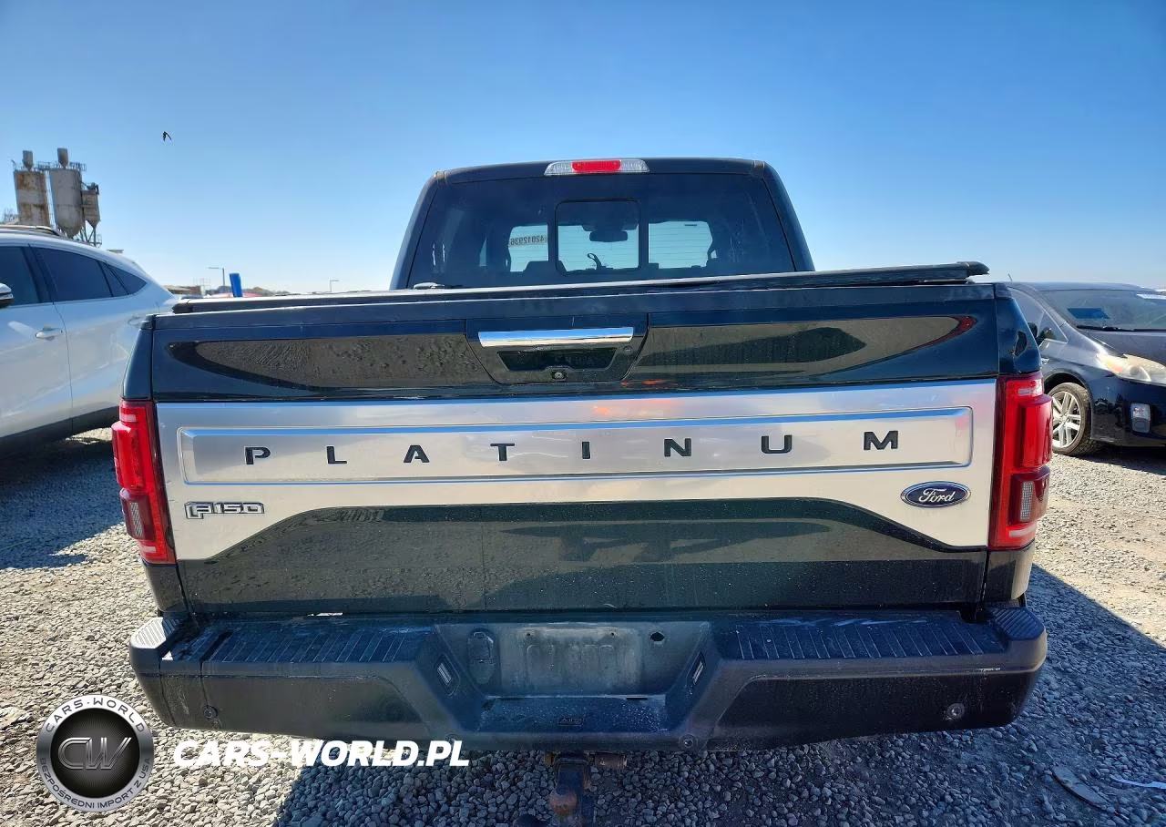 2015 Ford F150 Supercrew VIN:1FTEW1EG3FFB52862 - 6