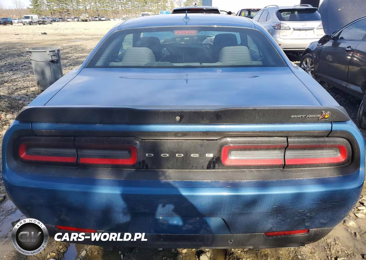 2020 Dodge Challenger R VIN:2C3CDZFJ5LH146677 - 6